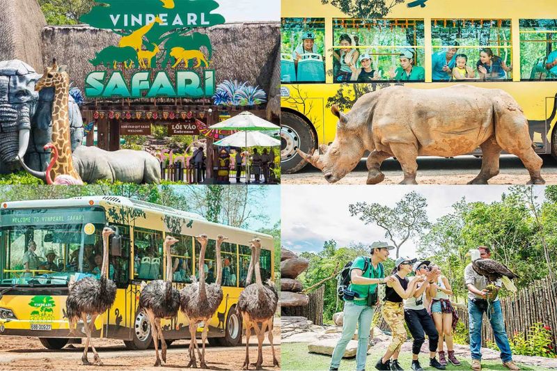 Safari Phu Quoc - check-in million likes with animals